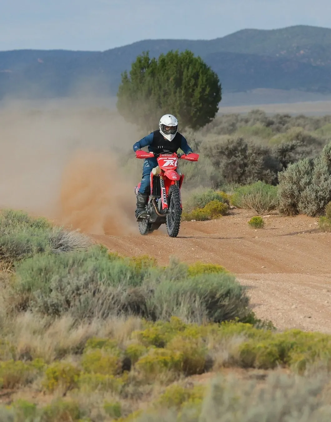 A Rogue 7 Racing rider on a red Honda kicking up dust on a desert two-track
